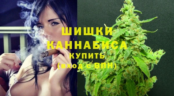 шишки Армянск